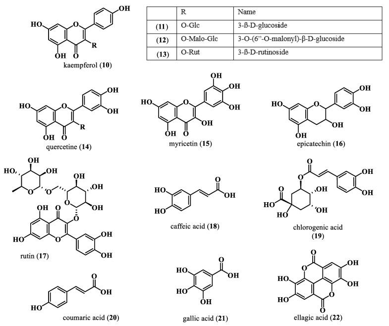 https://cdn.ncbi.nlm.nih.gov/pmc/blobs/6806/10780634/3684d9bbe413/plants-13-00020-g003.jpg