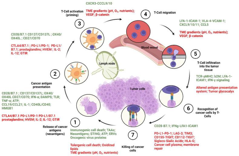 https://cdn.ncbi.nlm.nih.gov/pmc/blobs/6821/11048403/1d54110b85da/biomolecules-14-00503-g002.jpg