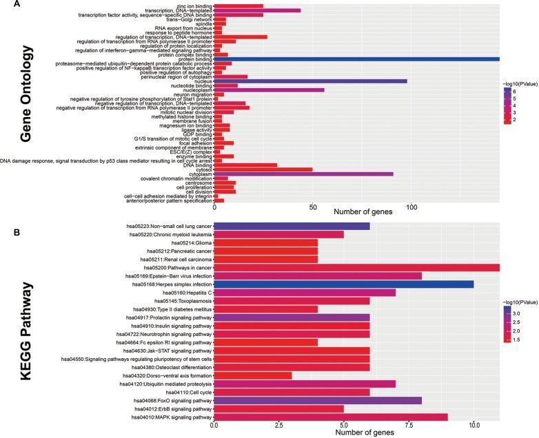 https://cdn.ncbi.nlm.nih.gov/pmc/blobs/682b/6089101/6ac105816ada/cmar-10-2537Fig7.jpg