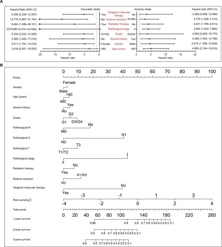 https://cdn.ncbi.nlm.nih.gov/pmc/blobs/682b/6089101/d161aa1c9c5b/cmar-10-2537Fig4.jpg