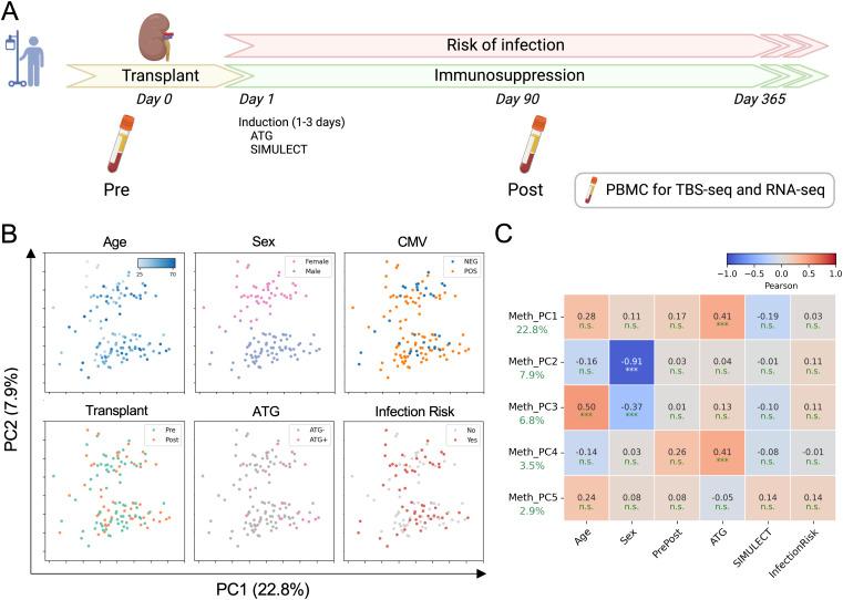 https://cdn.ncbi.nlm.nih.gov/pmc/blobs/6831/12053434/5ec42a3a3240/LSA-2024-03124_Fig1.jpg