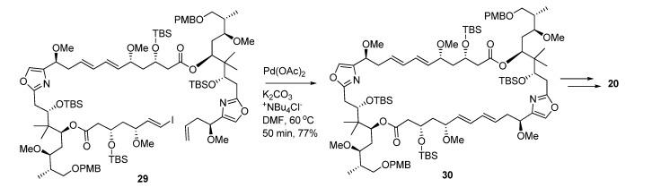https://cdn.ncbi.nlm.nih.gov/pmc/blobs/6834/6270075/4af43b877cd3/molecules-18-06230-g014.jpg
