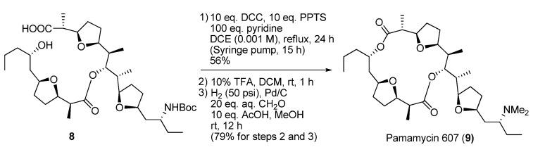 https://cdn.ncbi.nlm.nih.gov/pmc/blobs/6834/6270075/9069ae24b451/molecules-18-06230-g008.jpg