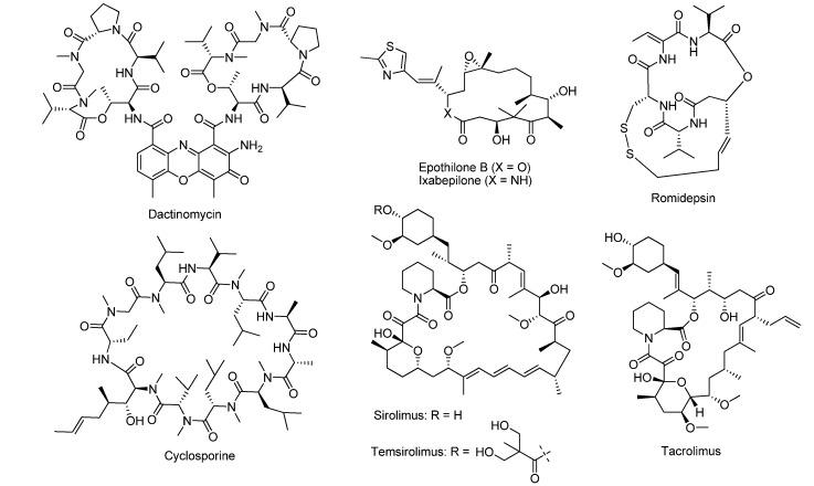 https://cdn.ncbi.nlm.nih.gov/pmc/blobs/6834/6270075/a4c68a83725e/molecules-18-06230-g004.jpg