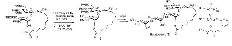 https://cdn.ncbi.nlm.nih.gov/pmc/blobs/6834/6270075/a79486f50e74/molecules-18-06230-g006.jpg