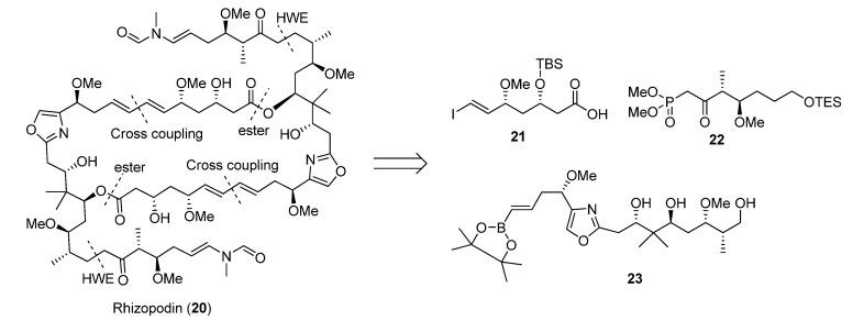 https://cdn.ncbi.nlm.nih.gov/pmc/blobs/6834/6270075/c712c8ecd948/molecules-18-06230-g012.jpg