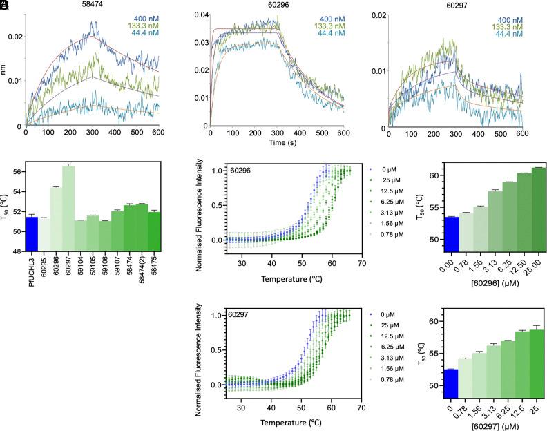 https://cdn.ncbi.nlm.nih.gov/pmc/blobs/6838/11126973/5bdf13af565f/pnas.2322923121fig02.jpg