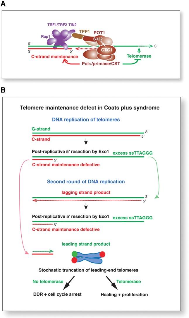 https://cdn.ncbi.nlm.nih.gov/pmc/blobs/6839/4826397/9a9544f75f3e/812f07.jpg