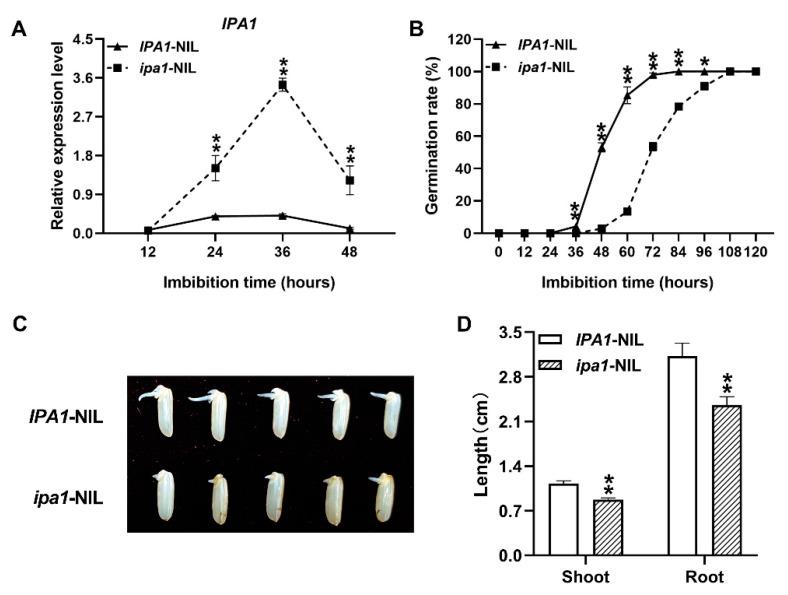 https://cdn.ncbi.nlm.nih.gov/pmc/blobs/6846/8234402/aa713929c7c4/ijms-22-06605-g001.jpg