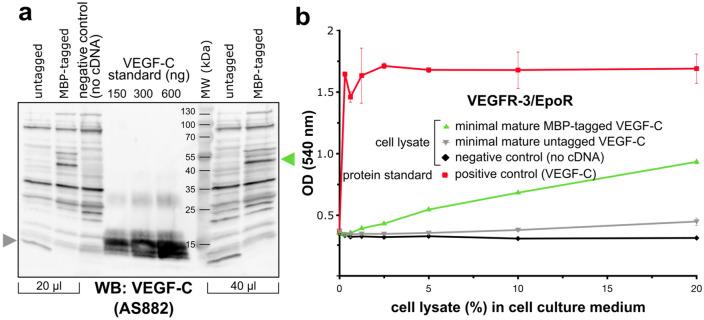 https://cdn.ncbi.nlm.nih.gov/pmc/blobs/684e/9616921/8b0e30963dc2/41598_2022_22960_Fig5_HTML.jpg