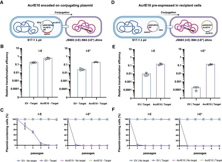 https://cdn.ncbi.nlm.nih.gov/pmc/blobs/685a/11317147/567cd8c1379f/gkae516fig6.jpg
