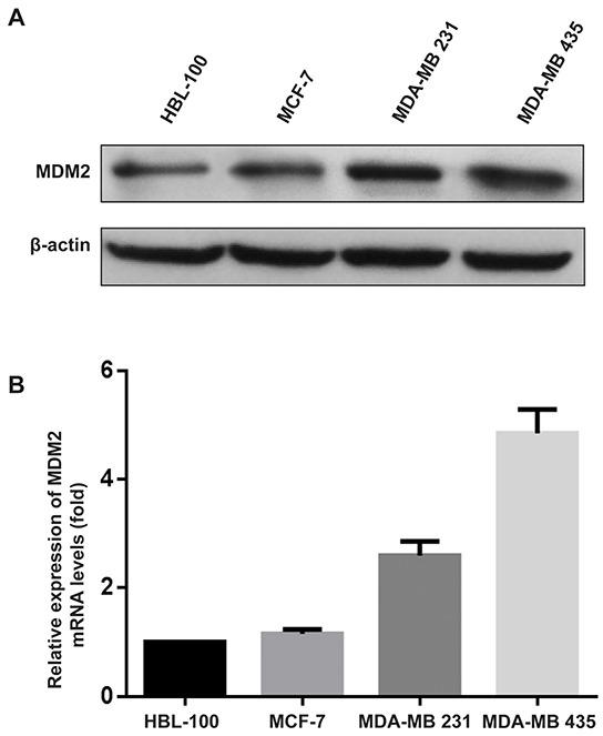 https://cdn.ncbi.nlm.nih.gov/pmc/blobs/6871/5095067/da9a6d087ca7/oncotarget-07-37177-g001.jpg