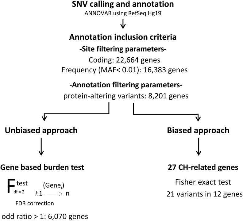 https://cdn.ncbi.nlm.nih.gov/pmc/blobs/6887/9145262/ad269fa641d9/thy.2021.0597_figure1.jpg