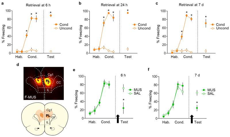 https://cdn.ncbi.nlm.nih.gov/pmc/blobs/688c/4376623/46e863bc05ca/nihms640087f7.jpg