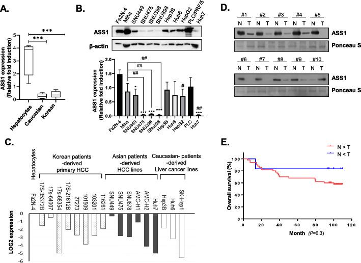 https://cdn.ncbi.nlm.nih.gov/pmc/blobs/6897/8035787/88aa58cd7092/13046_2021_1912_Fig2_HTML.jpg
