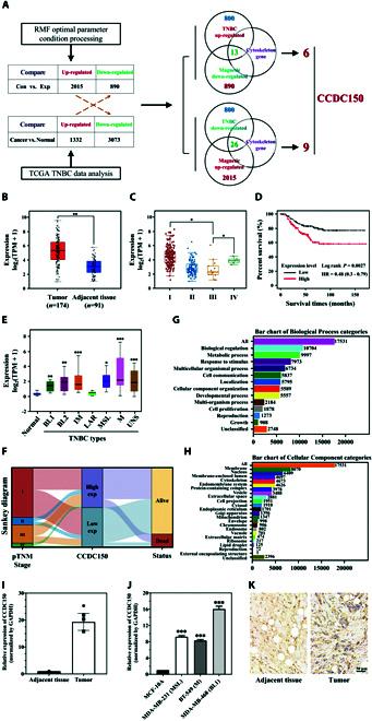 https://cdn.ncbi.nlm.nih.gov/pmc/blobs/68a9/10900498/88096fdd0ee9/research.0320.fig.002.jpg