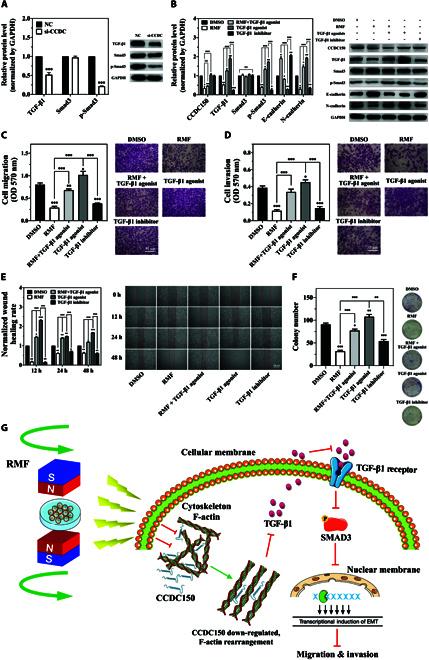 https://cdn.ncbi.nlm.nih.gov/pmc/blobs/68a9/10900498/901a18c6eca6/research.0320.fig.006.jpg