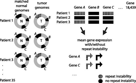 https://cdn.ncbi.nlm.nih.gov/pmc/blobs/68af/4574073/677e49146815/12864_2015_1902_Fig6_HTML.jpg