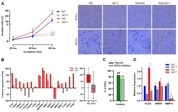 https://cdn.ncbi.nlm.nih.gov/pmc/blobs/68c7/11047920/c4d18de36cee/biomolecules-14-00445-g003.jpg