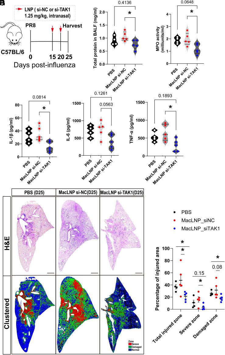 https://cdn.ncbi.nlm.nih.gov/pmc/blobs/68d0/10873611/2606133e699a/pnas.2314747121fig05.jpg