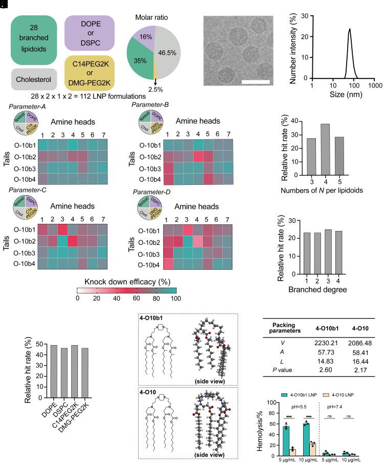 https://cdn.ncbi.nlm.nih.gov/pmc/blobs/68d0/10873611/ced1c0163845/pnas.2314747121fig02.jpg