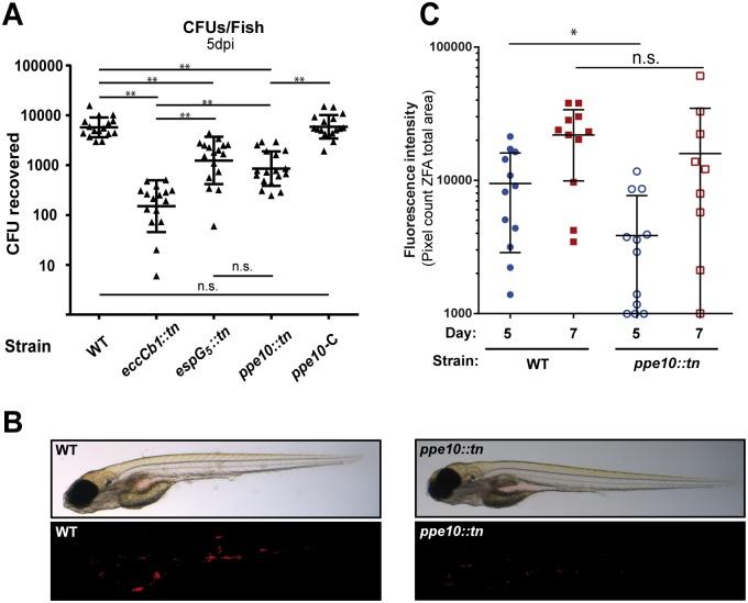 https://cdn.ncbi.nlm.nih.gov/pmc/blobs/68db/4900558/d68e2552bf65/ppat.1005696.g005.jpg