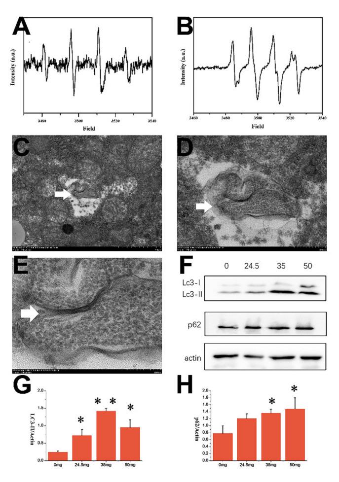 https://cdn.ncbi.nlm.nih.gov/pmc/blobs/6931/8399041/7f3dcd06d813/nanomaterials-11-02081-g009.jpg