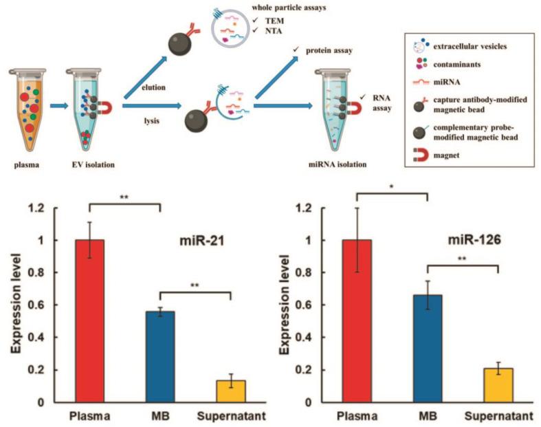 https://cdn.ncbi.nlm.nih.gov/pmc/blobs/693a/10377709/dbfcfe9297bb/biosensors-13-00688-g003.jpg