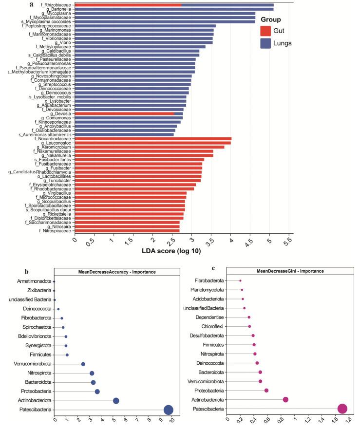 https://cdn.ncbi.nlm.nih.gov/pmc/blobs/693a/12388707/4d54d61b1daf/microorganisms-13-01887-g005.jpg
