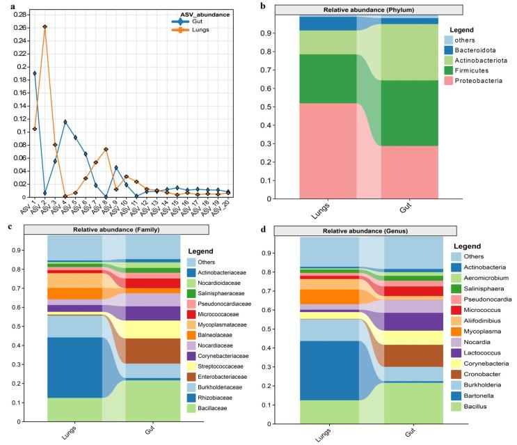 https://cdn.ncbi.nlm.nih.gov/pmc/blobs/693a/12388707/6987b6e23fcf/microorganisms-13-01887-g002.jpg