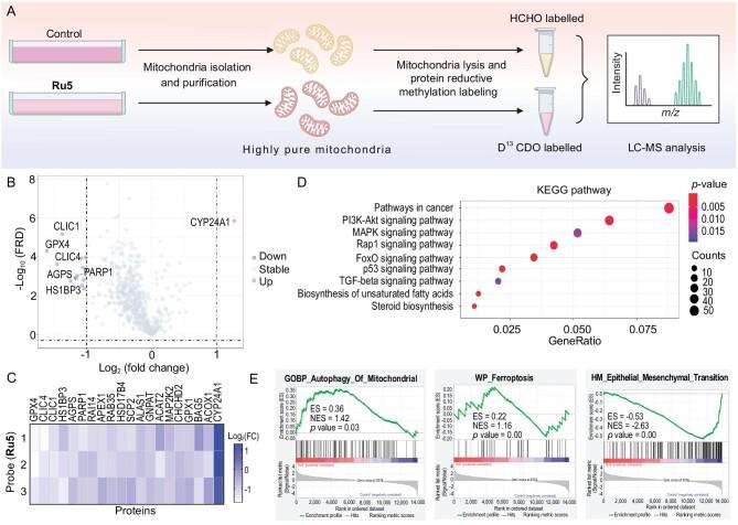 https://cdn.ncbi.nlm.nih.gov/pmc/blobs/6955/11304990/8253682bc465/nwae234fig3.jpg