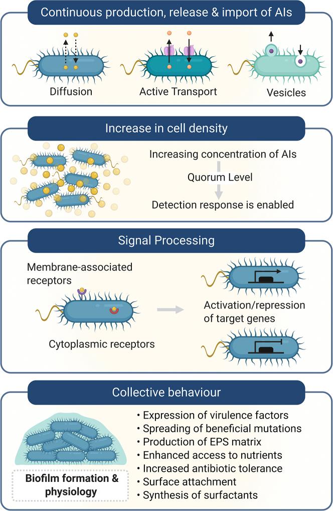 https://cdn.ncbi.nlm.nih.gov/pmc/blobs/695b/8113887/65cb1c01d7cf/gr5.jpg