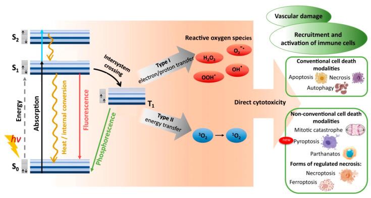 https://cdn.ncbi.nlm.nih.gov/pmc/blobs/695c/9962876/9412d26391d4/nanomaterials-13-00673-g001.jpg