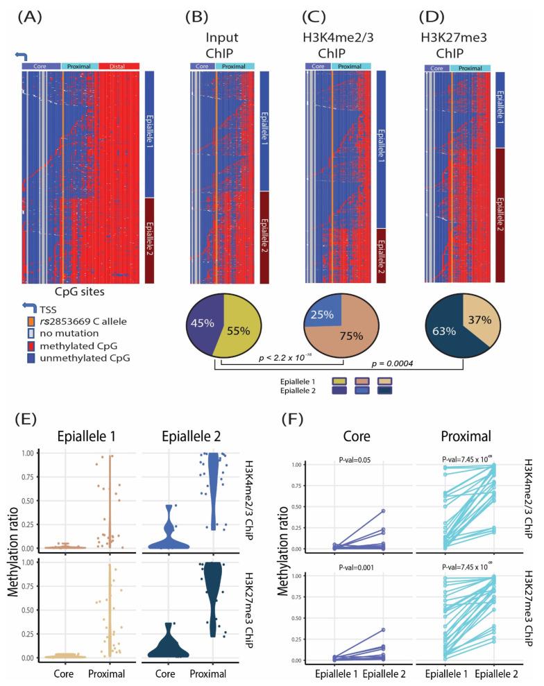 https://cdn.ncbi.nlm.nih.gov/pmc/blobs/6980/9406525/0630b6033b3c/cancers-14-04018-g003.jpg