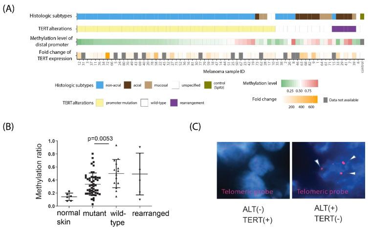 https://cdn.ncbi.nlm.nih.gov/pmc/blobs/6980/9406525/2d7c2e947538/cancers-14-04018-g001.jpg