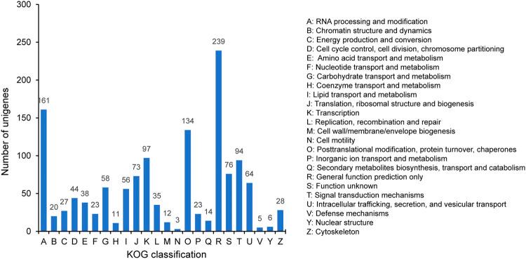 https://cdn.ncbi.nlm.nih.gov/pmc/blobs/6988/8635753/23354d1e2eea/fgene-12-759557-g005.jpg