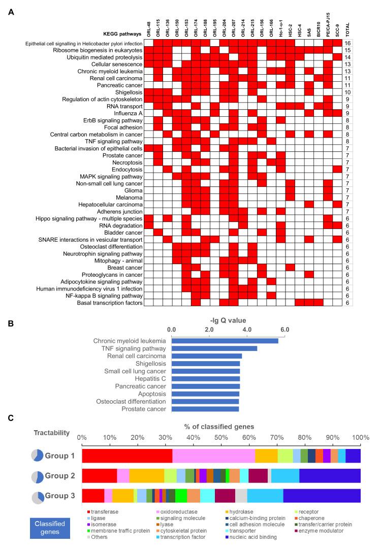 https://cdn.ncbi.nlm.nih.gov/pmc/blobs/6994/7591259/194b918f70ea/elife-57761-fig2-figsupp1.jpg