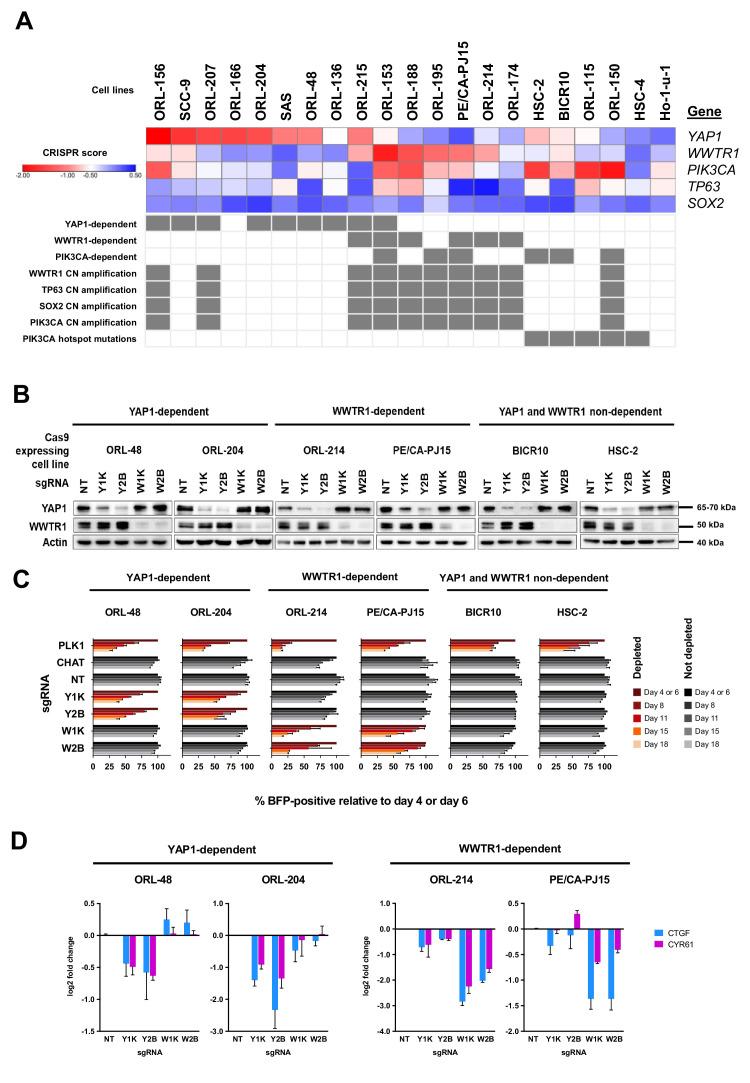 https://cdn.ncbi.nlm.nih.gov/pmc/blobs/6994/7591259/47f7c493268d/elife-57761-fig3.jpg