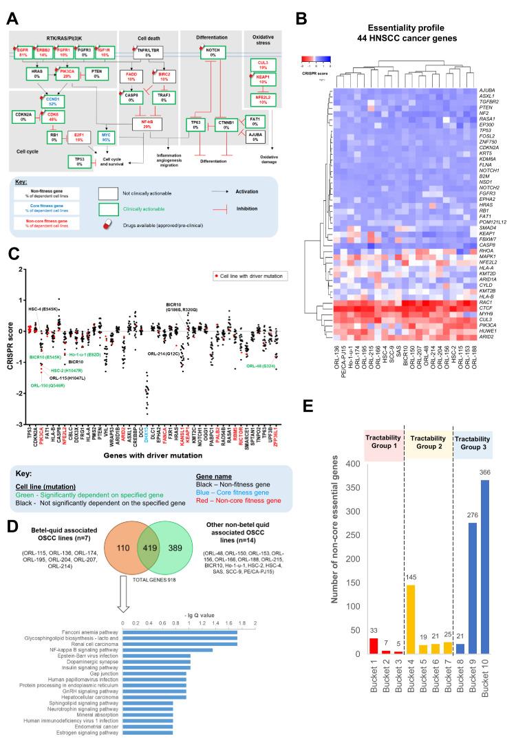 https://cdn.ncbi.nlm.nih.gov/pmc/blobs/6994/7591259/60d36b8bbcbe/elife-57761-fig2.jpg