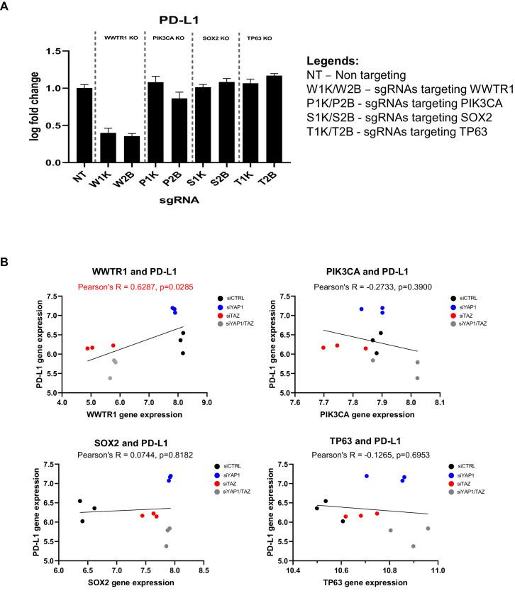 https://cdn.ncbi.nlm.nih.gov/pmc/blobs/6994/7591259/7fa95b0ce4ca/elife-57761-fig6-figsupp3.jpg