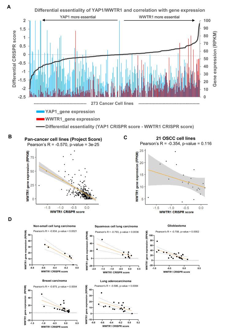 https://cdn.ncbi.nlm.nih.gov/pmc/blobs/6994/7591259/b2a835782f76/elife-57761-fig3-figsupp3.jpg