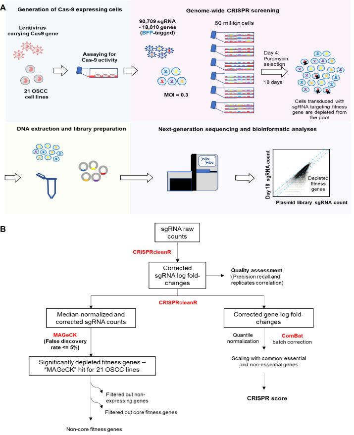 https://cdn.ncbi.nlm.nih.gov/pmc/blobs/6994/7591259/c100123b9ab6/elife-57761-fig1-figsupp1.jpg