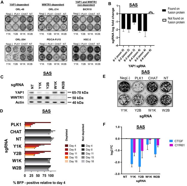 https://cdn.ncbi.nlm.nih.gov/pmc/blobs/6994/7591259/f0f6431e61a8/elife-57761-fig3-figsupp4.jpg