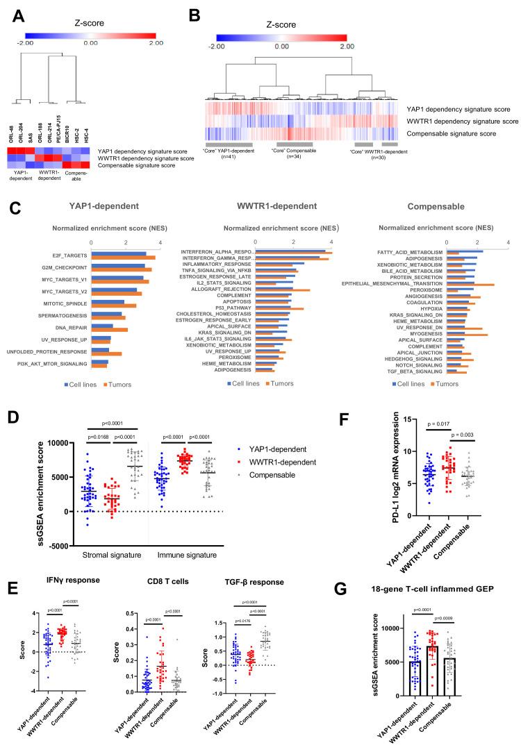 https://cdn.ncbi.nlm.nih.gov/pmc/blobs/6994/7591259/f41e52b4cee7/elife-57761-fig6.jpg