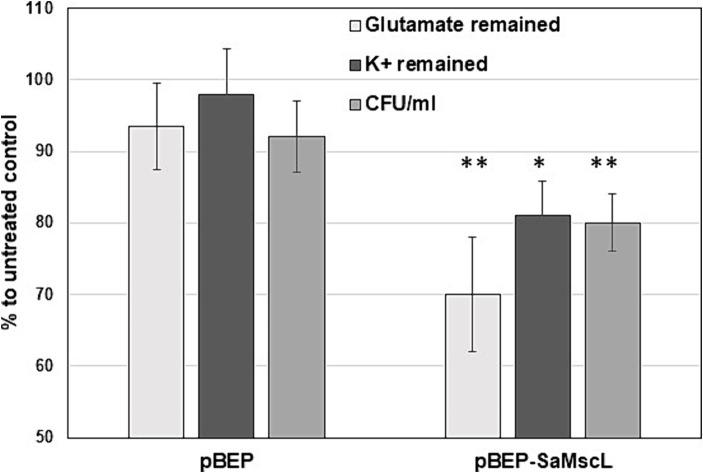 https://cdn.ncbi.nlm.nih.gov/pmc/blobs/69a3/11251944/23ce0bf40cff/fmicb-15-1439009-g005.jpg