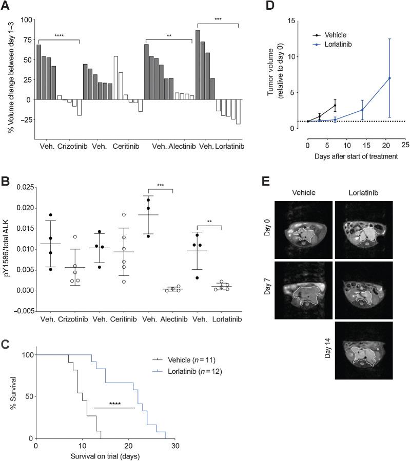 https://cdn.ncbi.nlm.nih.gov/pmc/blobs/69b8/10068437/ca46f84cc3e6/1317fig2.jpg