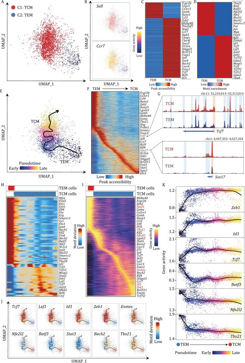 https://cdn.ncbi.nlm.nih.gov/pmc/blobs/69d0/12275094/2149d6a54d45/pwaf003_fig5.jpg