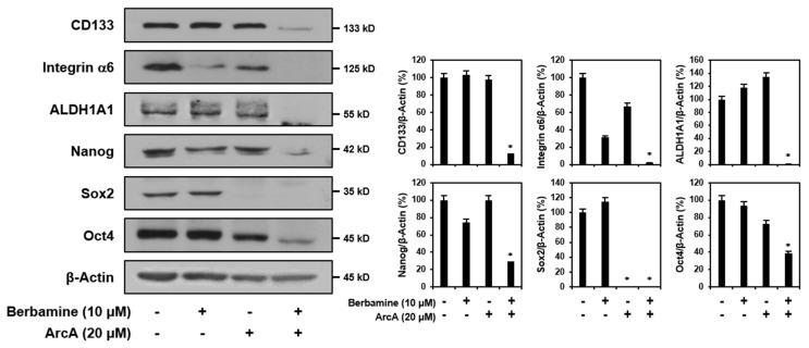https://cdn.ncbi.nlm.nih.gov/pmc/blobs/69df/9699626/5501d5c92938/molecules-27-07968-g004.jpg
