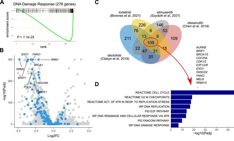 https://cdn.ncbi.nlm.nih.gov/pmc/blobs/69e3/10782898/a0226d851131/zcad062fig2.jpg