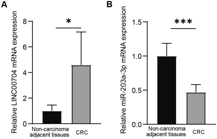 https://cdn.ncbi.nlm.nih.gov/pmc/blobs/69fe/11983970/d984c162dec4/40001_2025_2514_Fig1_HTML.jpg